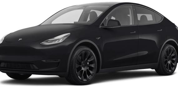 TESLA MODEL Y 2021 5YJYGDEE4MF065189 image